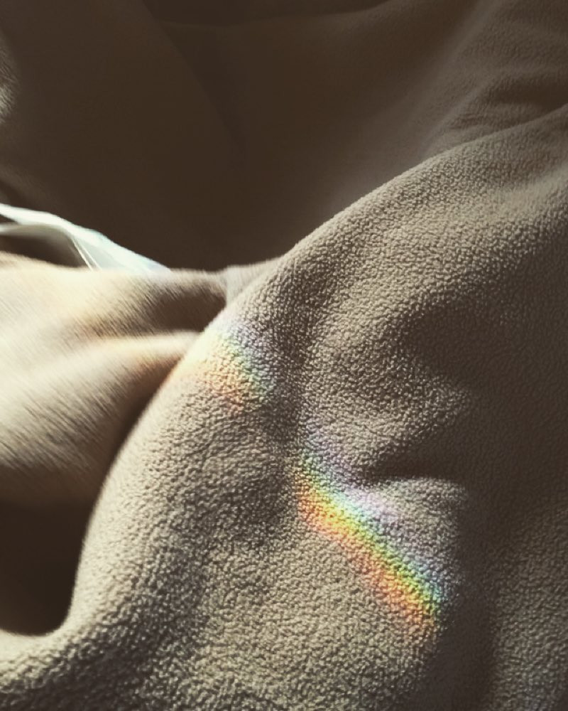 Leaked Sofia Gomez Nude Photo #460